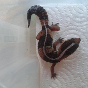 2012-09-30 18.41.36.jpg