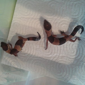 2012-09-30 18.41.53.jpg