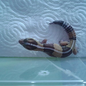 2012-09-30 18.46.36.jpg