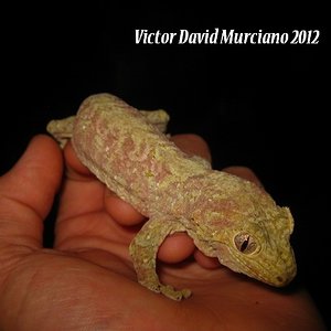 IMG_1613 (640x480).jpg