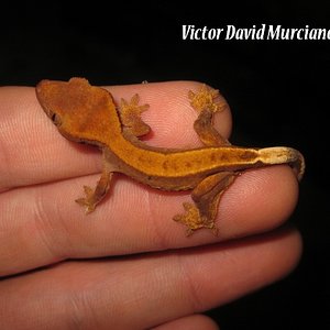 IMG_1647 (640x480).jpg