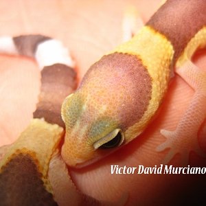 IMG_1729 (640x480).jpg