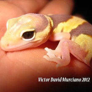 IMG_1724 (640x480).jpg