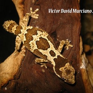 IMG_1702 (640x480).jpg