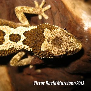 IMG_1700 (640x480).jpg