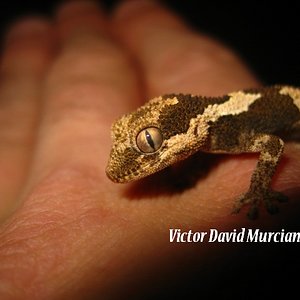 IMG_1667 (640x480).jpg