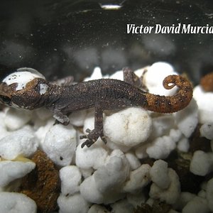 IMG_1838 (640x480).jpg