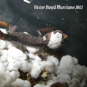 IMG_1839 (640x480).jpg