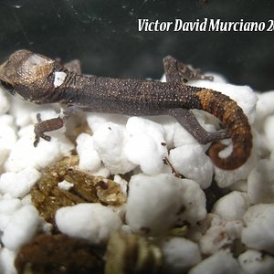 IMG_1843 (640x480).jpg