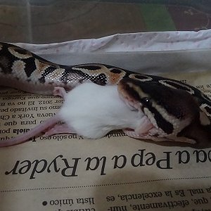 10-10-12 (1) foro.jpg