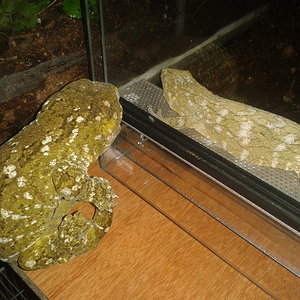 2012-09-06 21.38.44.jpg