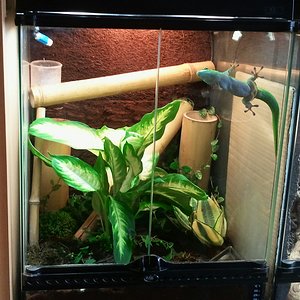 2012-09-30 16.39.32-1.jpg