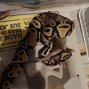 31-10-12 (1) foro.jpg