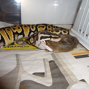 31-10-12 (2) foro.jpg