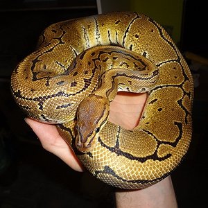 03-11-12 (4)foro.jpg