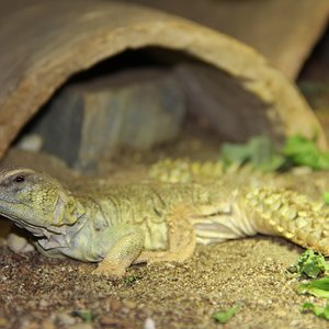 IMG_6470 - copia.JPG