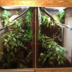 terrari dosenuno.JPG