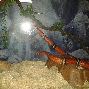 2013-01-20 12.38.52.jpg