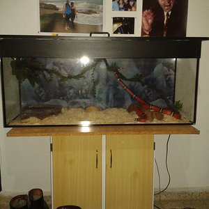 2013-01-20 12.39.17.jpg