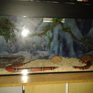 2012-11-12 00.30.29.jpg