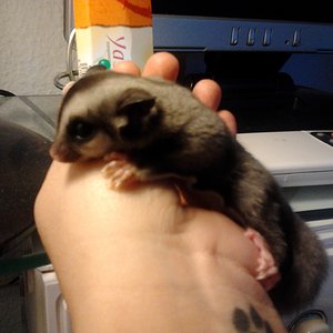 2012-10-15 16.04.19.jpg