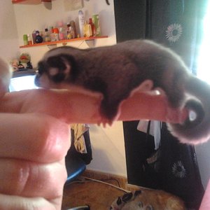 2012-10-15 16.16.47.jpg