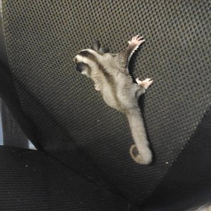 2012-10-17 16.25.16.jpg