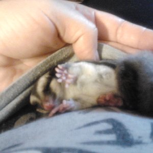 2012-10-26 16.58.41.jpg