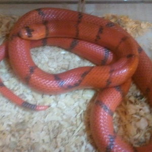 2013-02-09 16.00.18.jpg