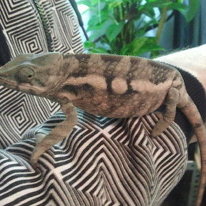 2012-12-11 fibi 01.jpg