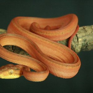 CH12#16 - Holdback.JPG