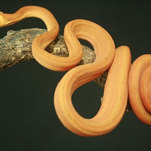 CH12#17 - Holdback.JPG