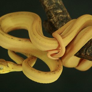 CH12#20 - Holdback.JPG