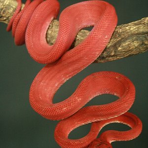 CH12#32 - Holdback.JPG