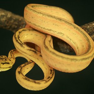 CH12#35 - Holdback.JPG