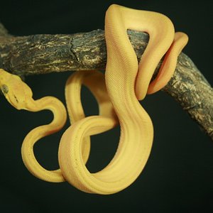 CH12#37 - Holdback.JPG