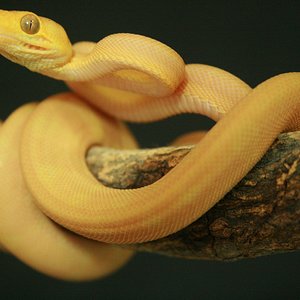 CH12#47 - Holdback.JPG