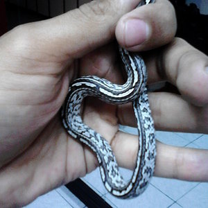 2013-05-22_11-30-28_235_Nuevo Laredo.jpg