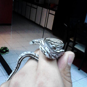 2013-05-22_11-30-59_248_Nuevo Laredo.jpg