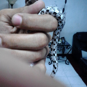 2013-05-22_11-27-39_494_Nuevo Laredo.jpg