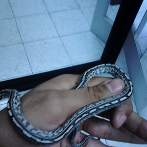 2013-05-22_11-27-23_79_Nuevo Laredo.jpg