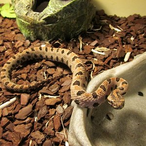 IMG_0697 (640x480).jpg