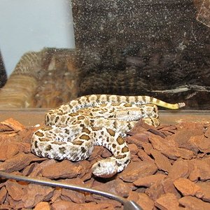 IMG_0671 (640x480).jpg