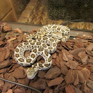 IMG_0678 (640x480).jpg