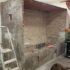 terrario iguanas.jpg