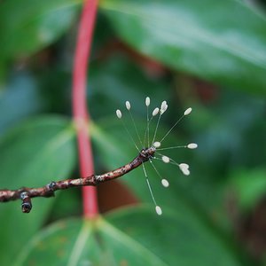 IMG_0073 - copia.JPG