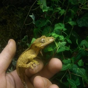 2013-12-31 10.35.24.jpg