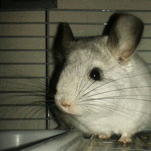 2014-01-23 10.32.17-1.jpg