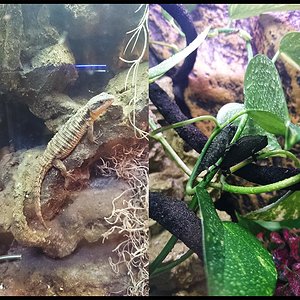 2014-02-03 15.40.jpg