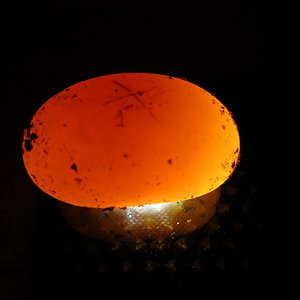 03.02.14 huevos (1)_4000x3000.jpg